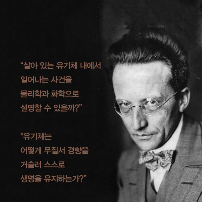 카드뉴스5