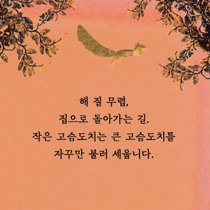 카드뉴스0