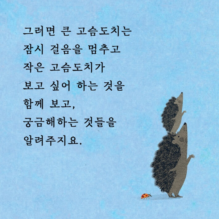 카드뉴스2