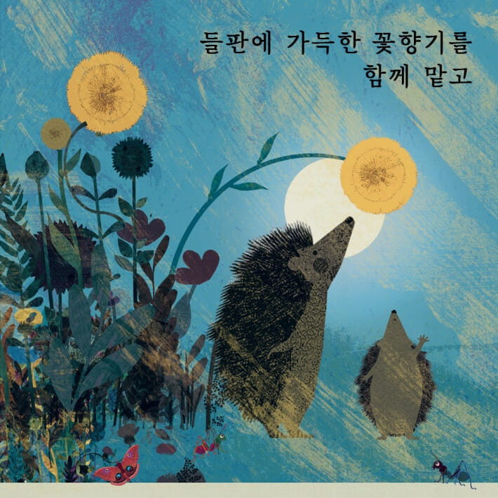 카드뉴스3