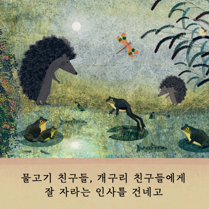 카드뉴스4