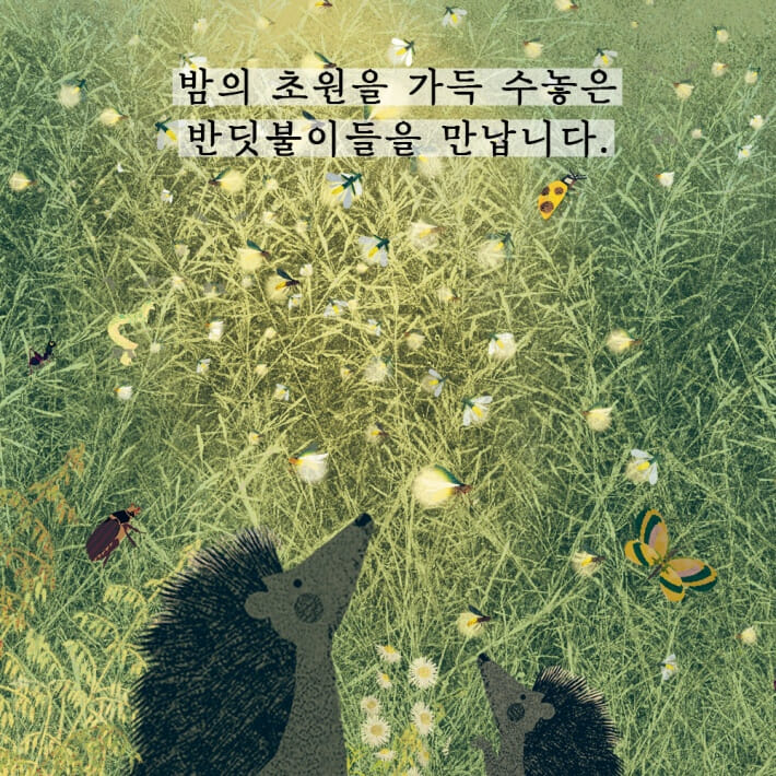 카드뉴스5