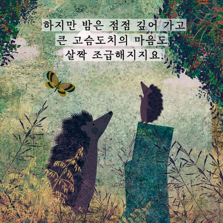 카드뉴스6