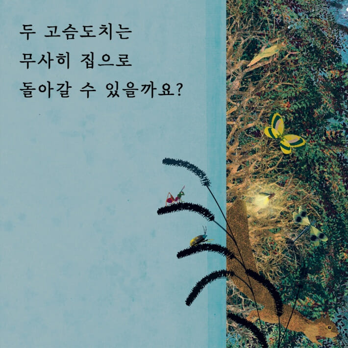 카드뉴스7