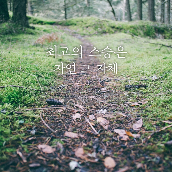 카드뉴스1