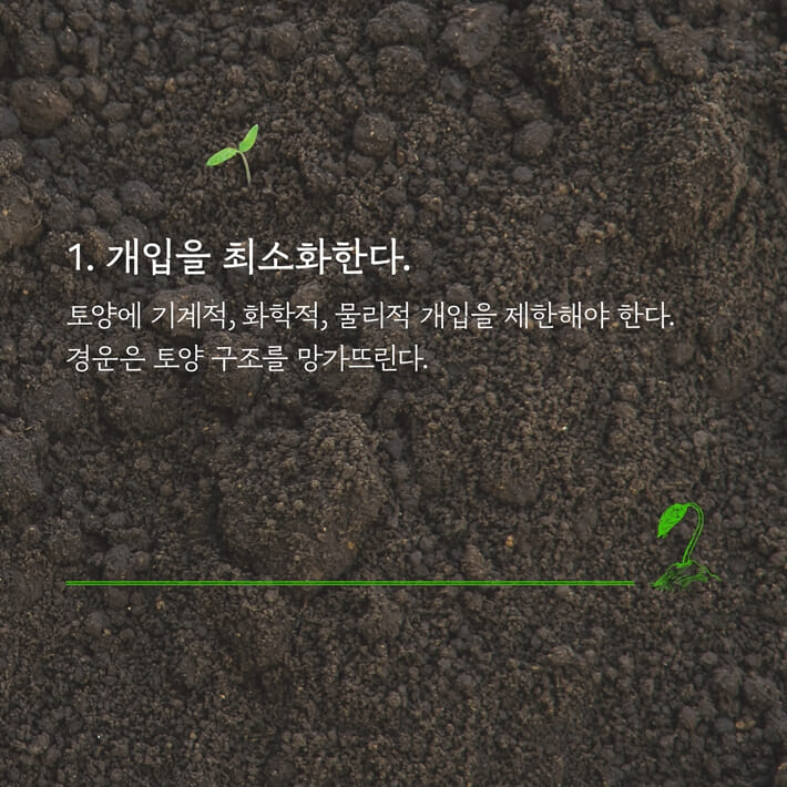 카드뉴스3