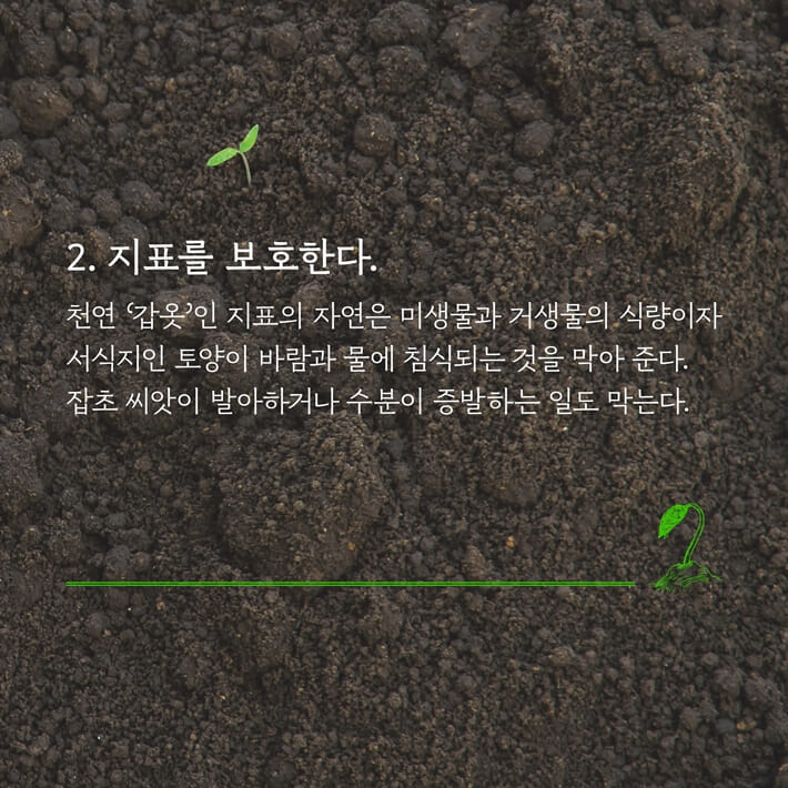 카드뉴스4