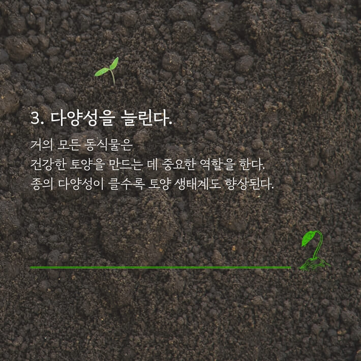 카드뉴스5