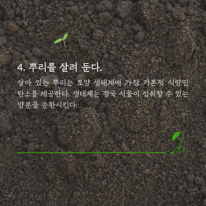 카드뉴스6