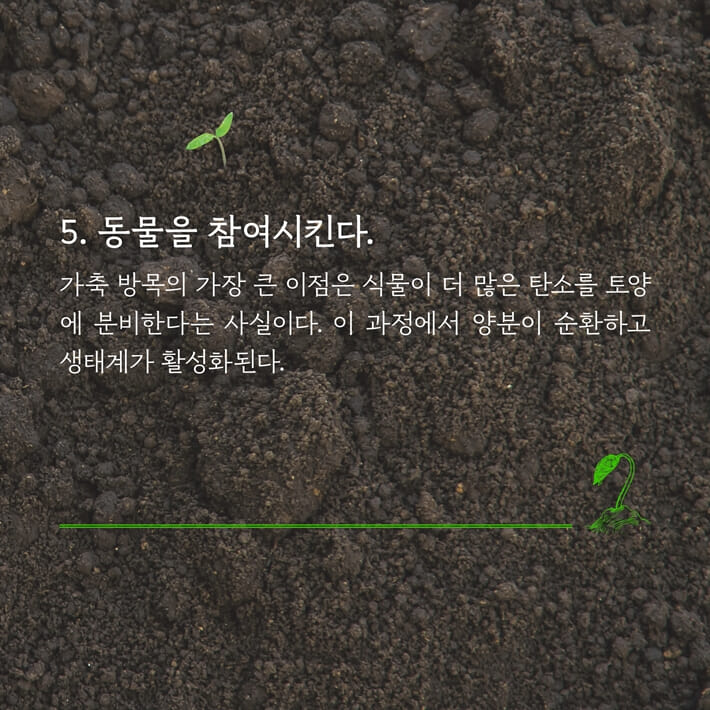 카드뉴스7