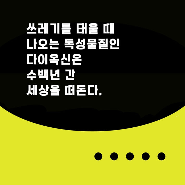 카드뉴스5