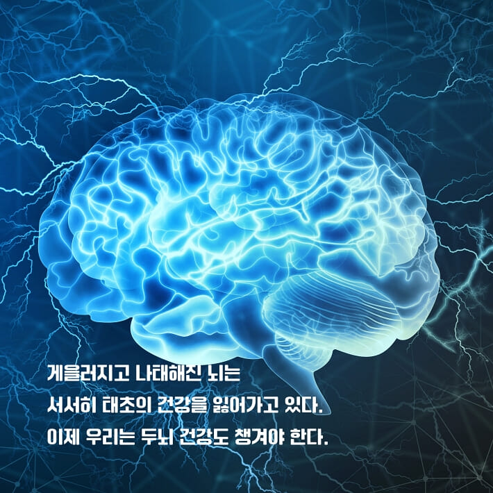 카드뉴스2