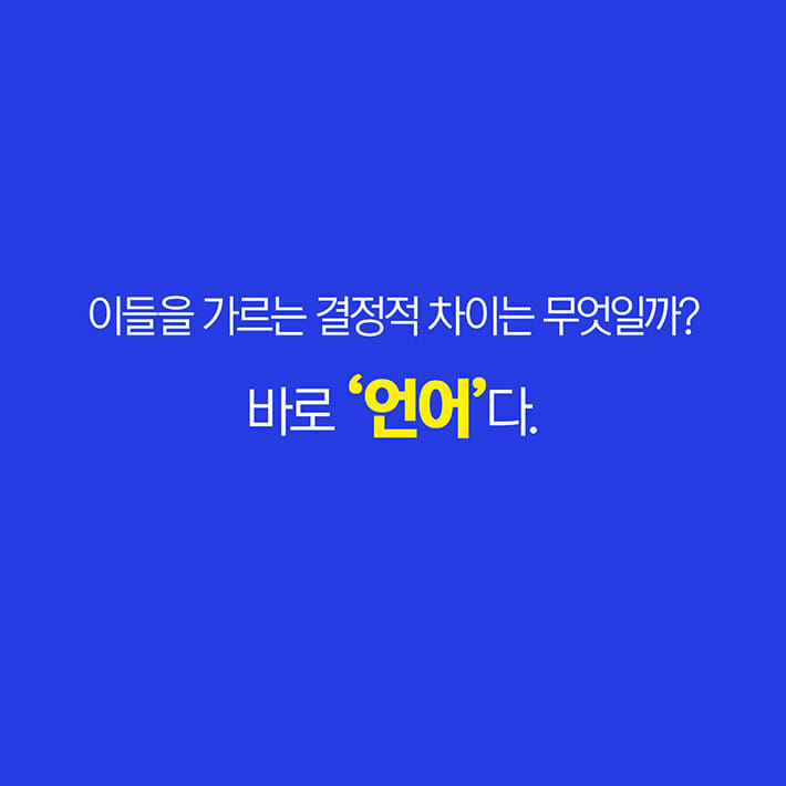 카드뉴스6