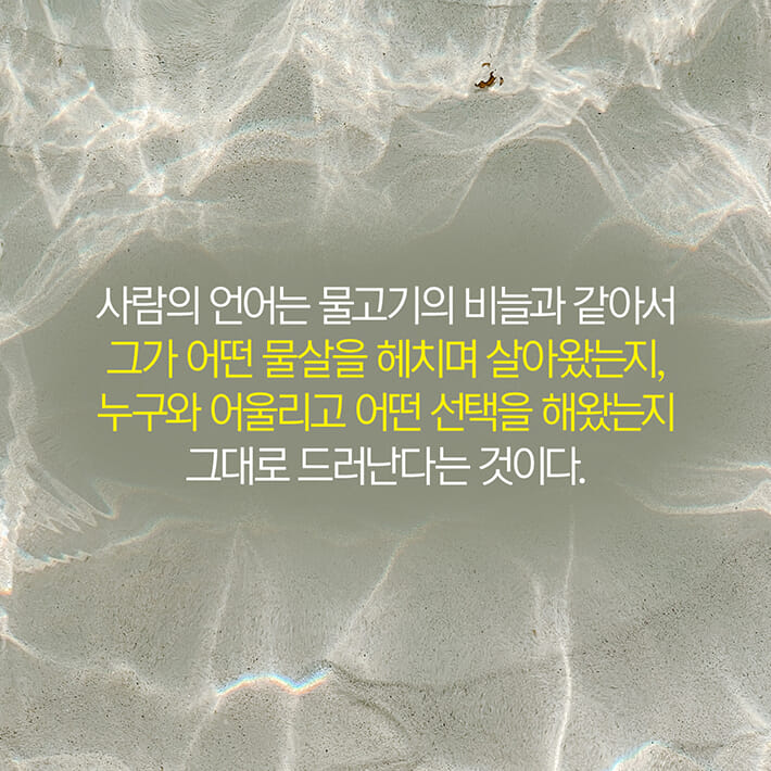 카드뉴스8