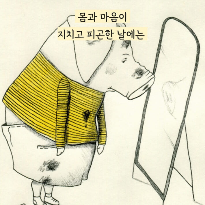 카드뉴스6