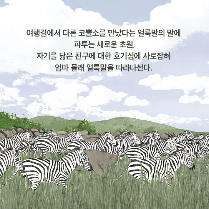 카드뉴스3