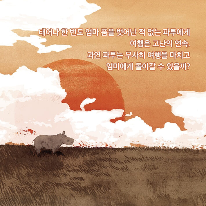 카드뉴스4