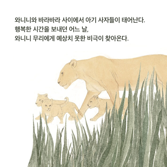 카드뉴스6