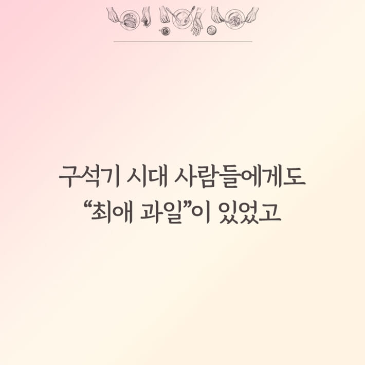 카드뉴스2