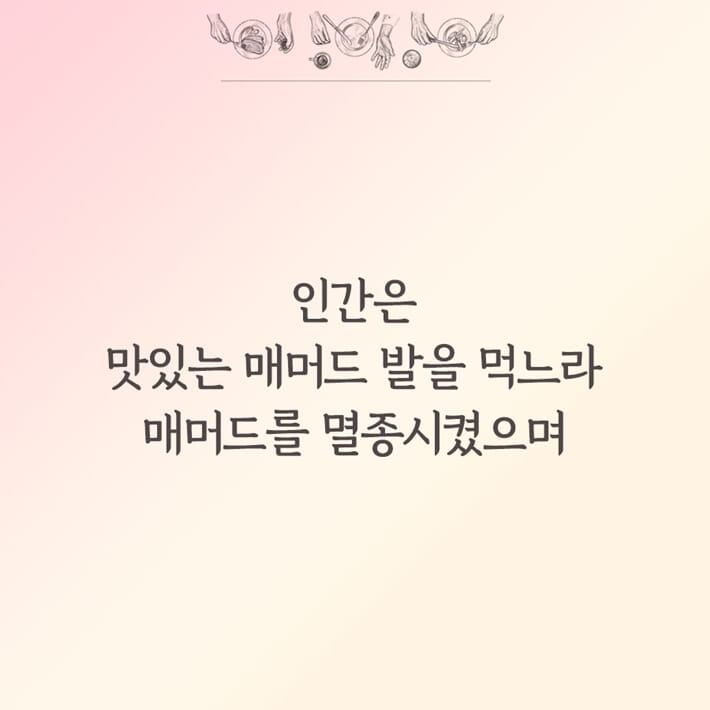 카드뉴스3