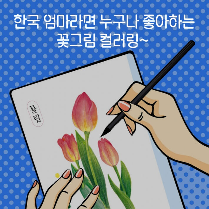 카드뉴스5
