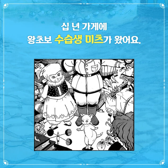 카드뉴스1