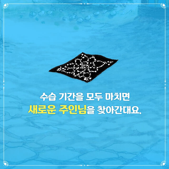카드뉴스2