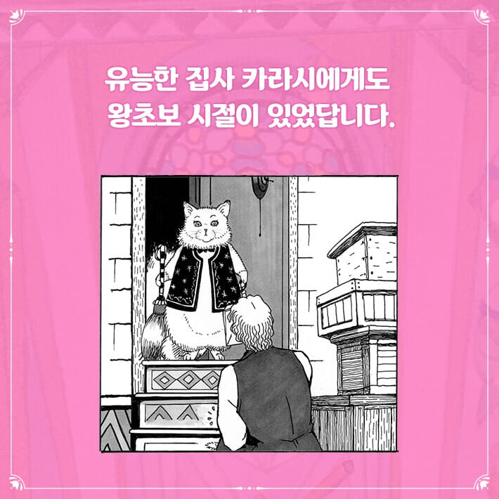 카드뉴스4