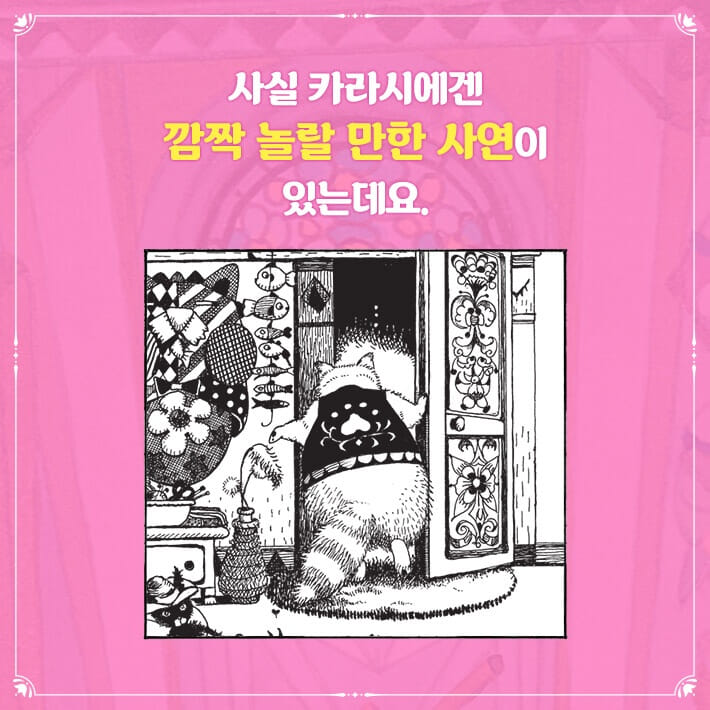 카드뉴스6