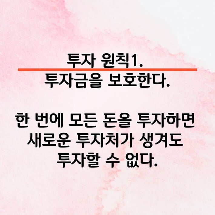 카드뉴스5