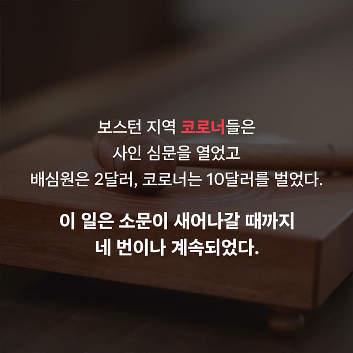 카드뉴스2