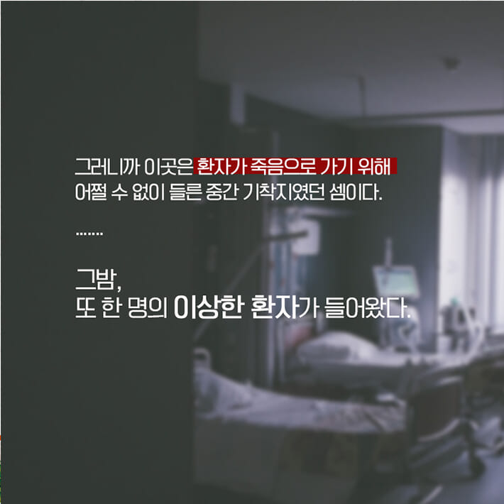 카드뉴스3