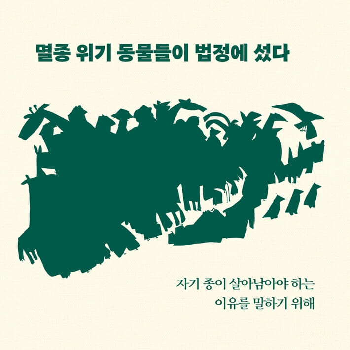 카드뉴스2