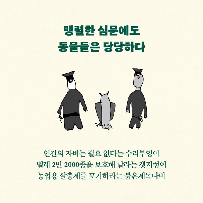 카드뉴스4