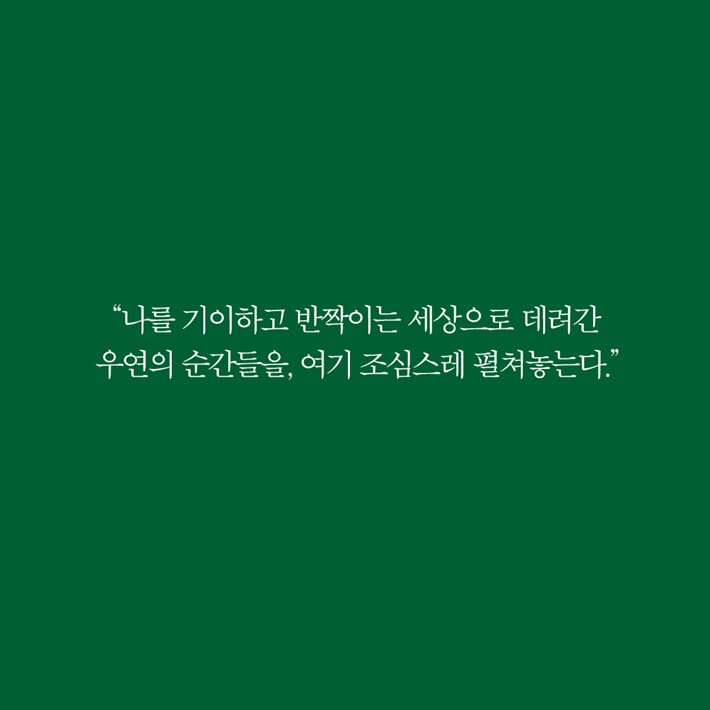 카드뉴스8