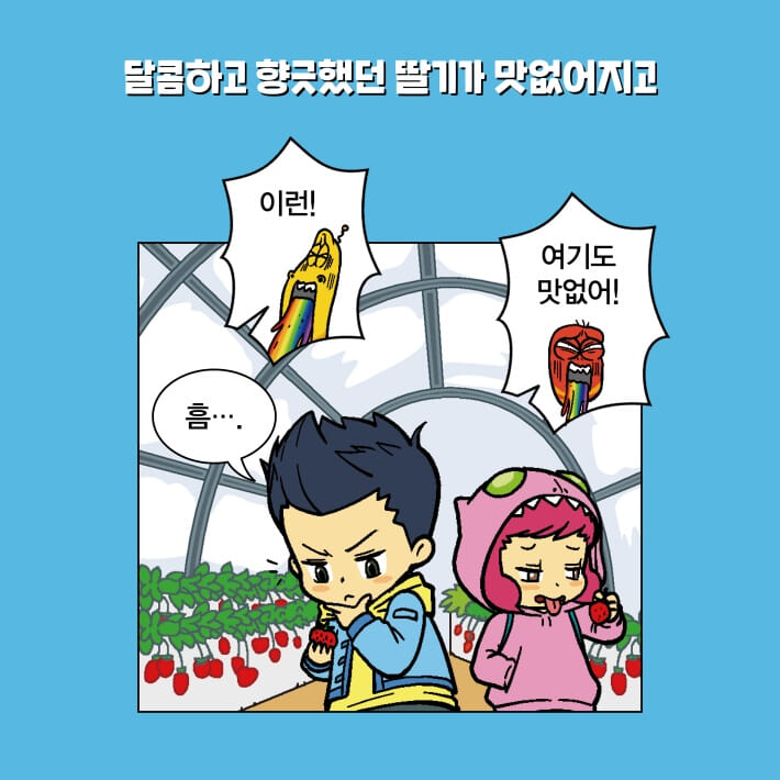 카드뉴스0