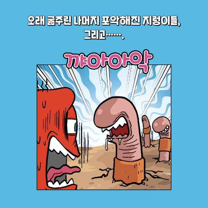 카드뉴스4