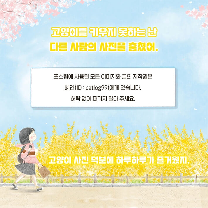 카드뉴스2