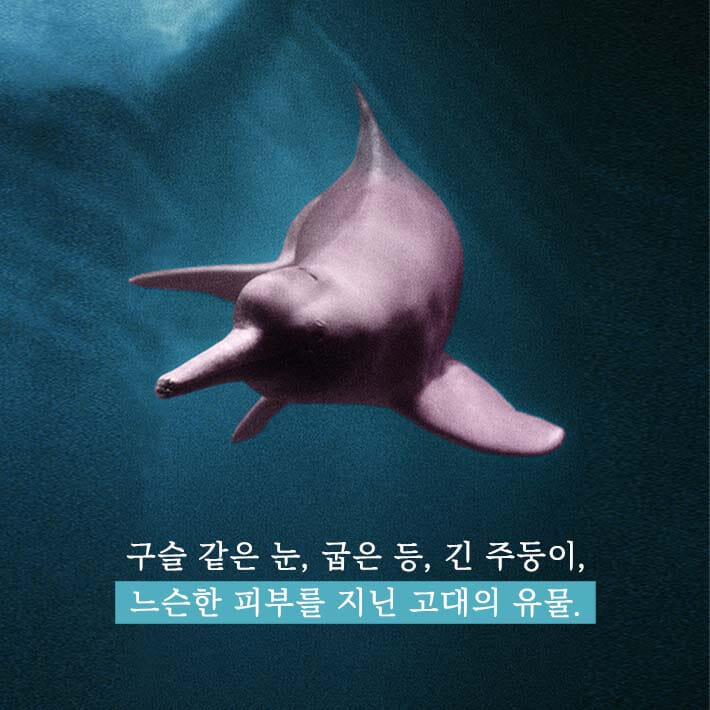 카드뉴스0