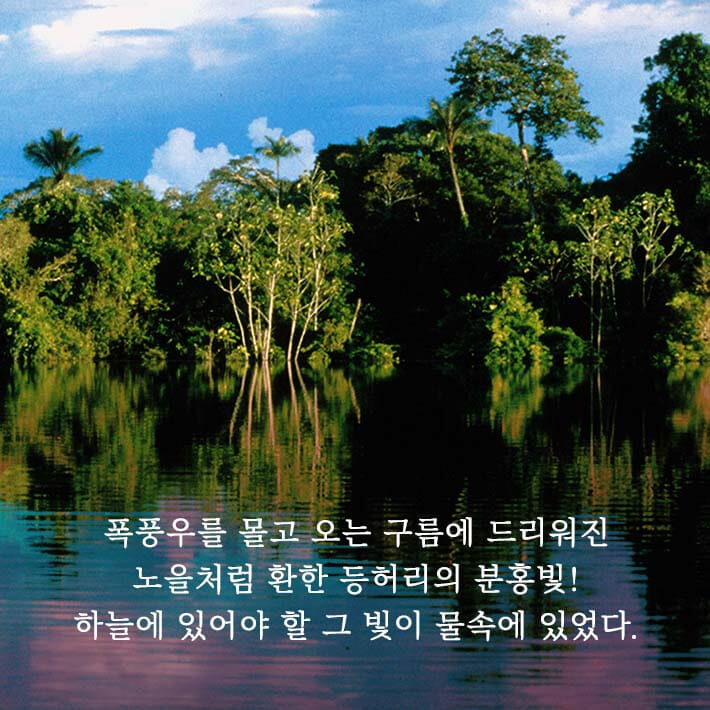 카드뉴스1
