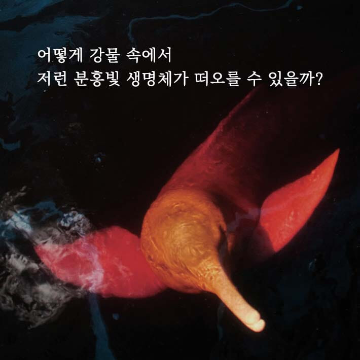 카드뉴스2