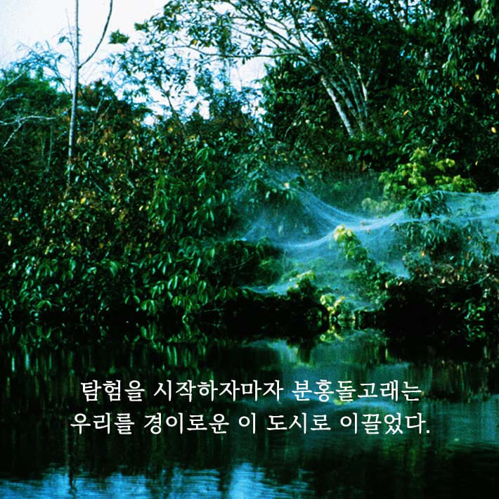 카드뉴스3