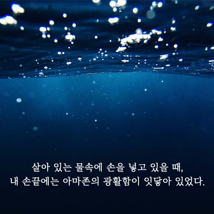 카드뉴스4