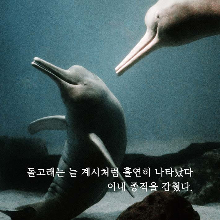 카드뉴스5