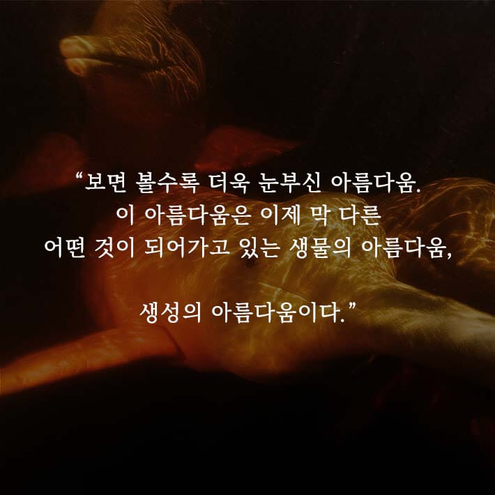 카드뉴스6