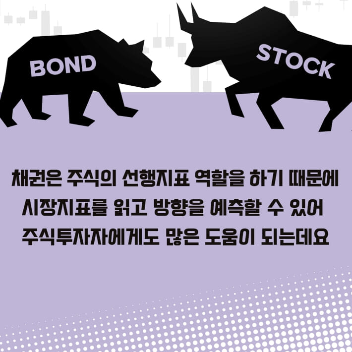 카드뉴스3