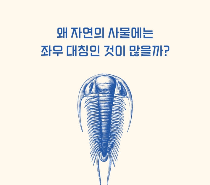 카드뉴스2