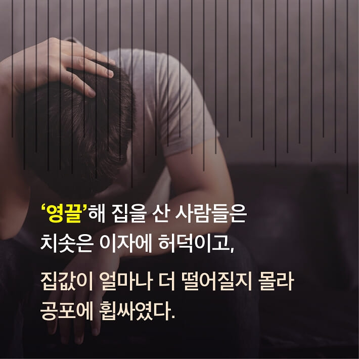 카드뉴스2
