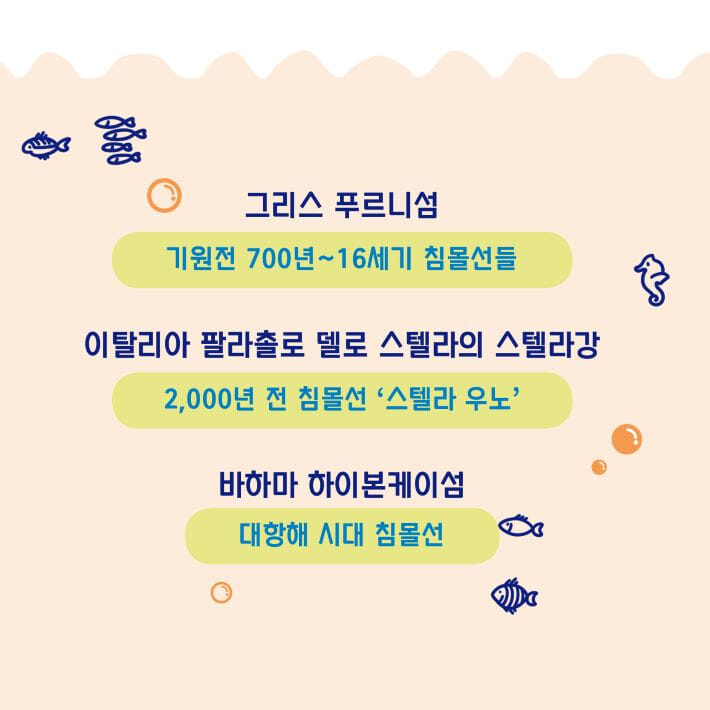 카드뉴스8