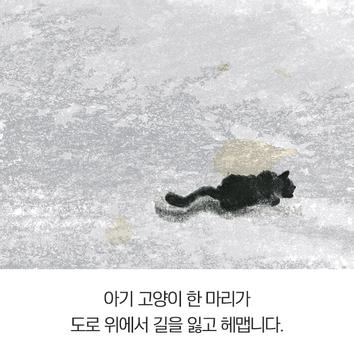 카드뉴스2
